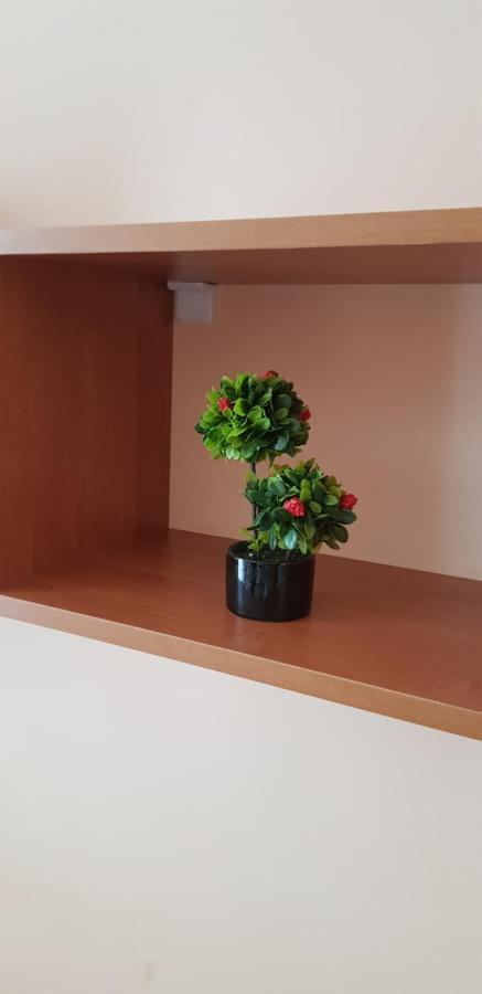 Elit 4 Apartments Sluneční pobřeží Exteriér fotografie